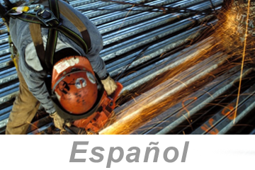 Industrial Ergonomics (Spanish), PS4 eLesson